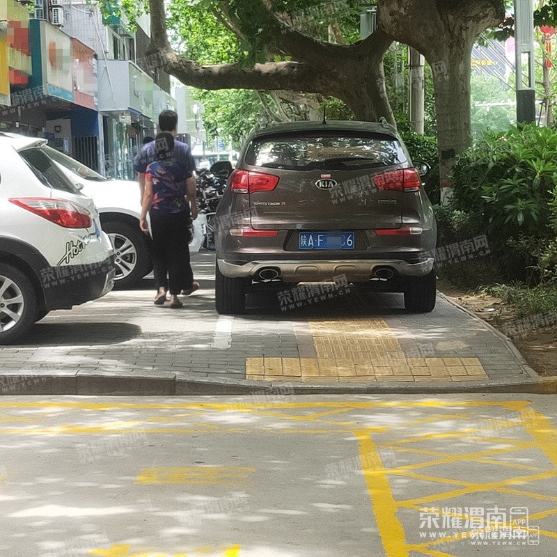 113139k8vdi6sv6cz9sii8.jpg