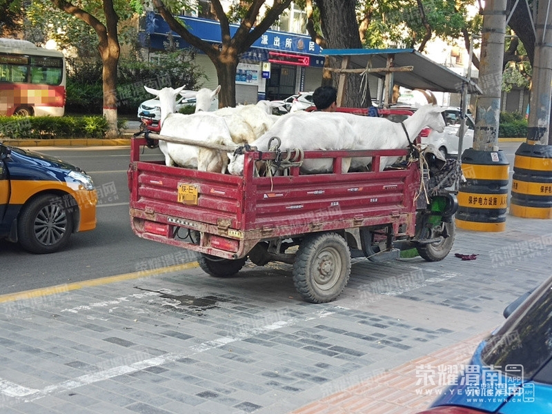 093510la24oto5lbk9cxqs.jpg