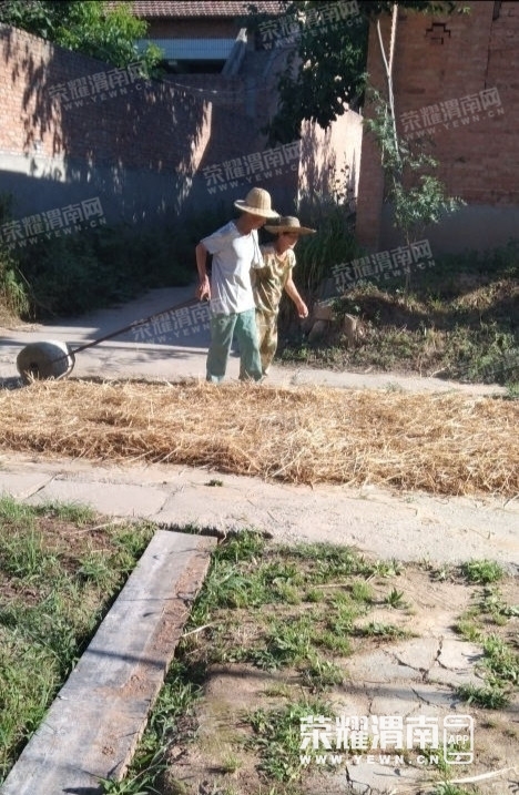 151145koy0q6psoms4ioja.jpg