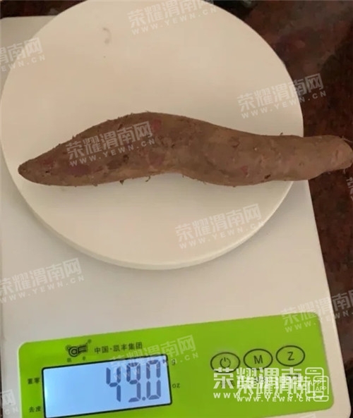 175810u88ef8ffhbqqzlkm.jpg