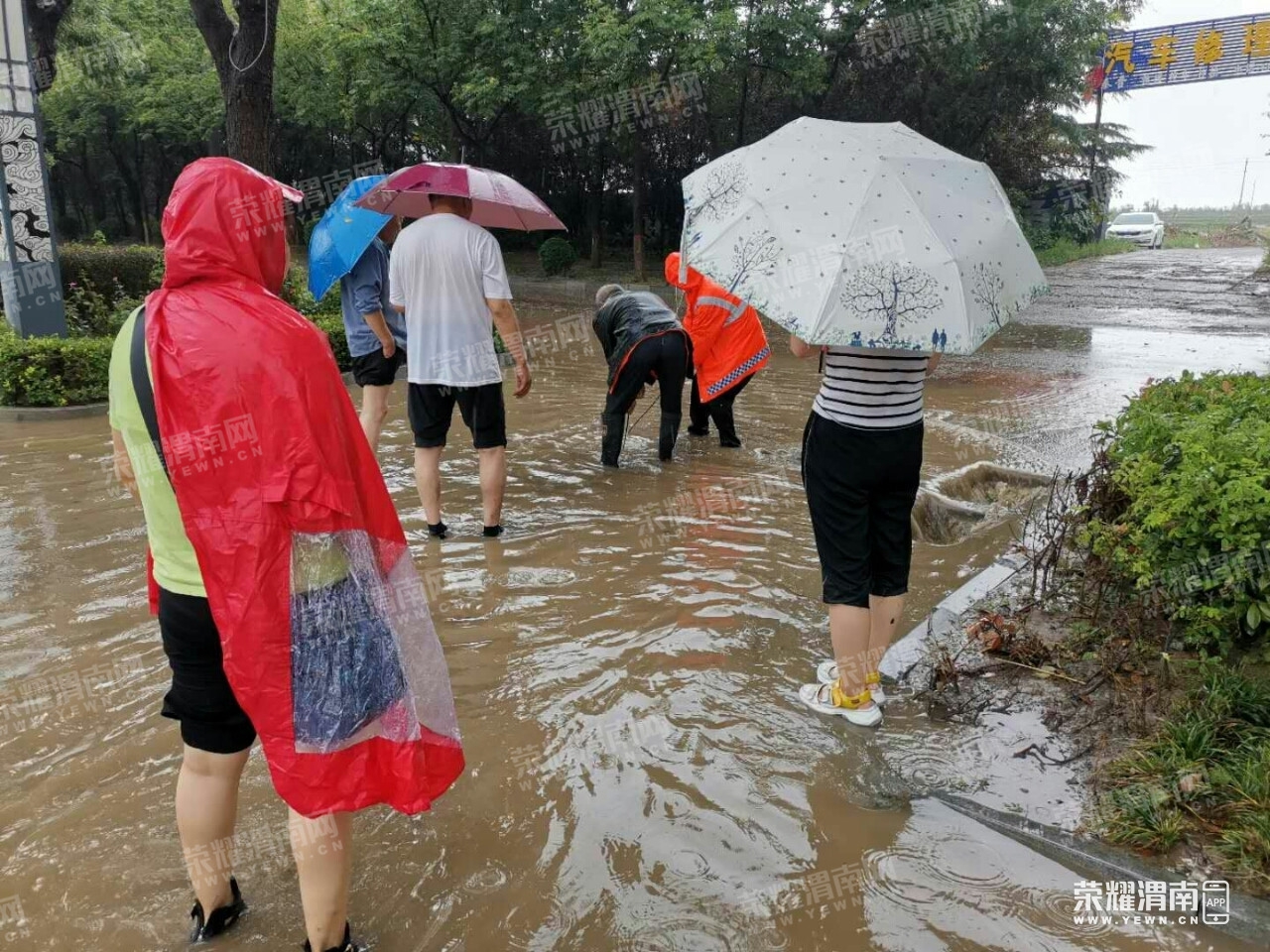 6 - ����.jpg