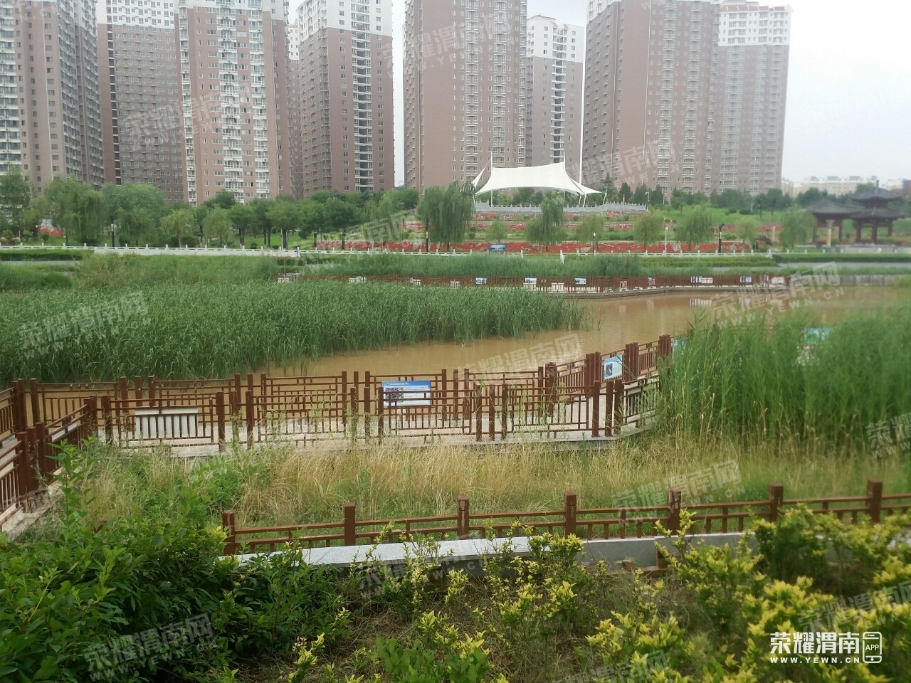 111419j3j3pawh9p3ppc3g.jpg