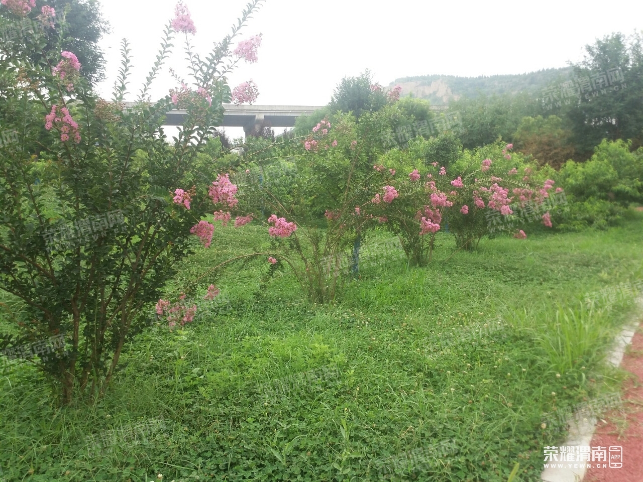 111630akntcjkgjpbljgkr.jpg