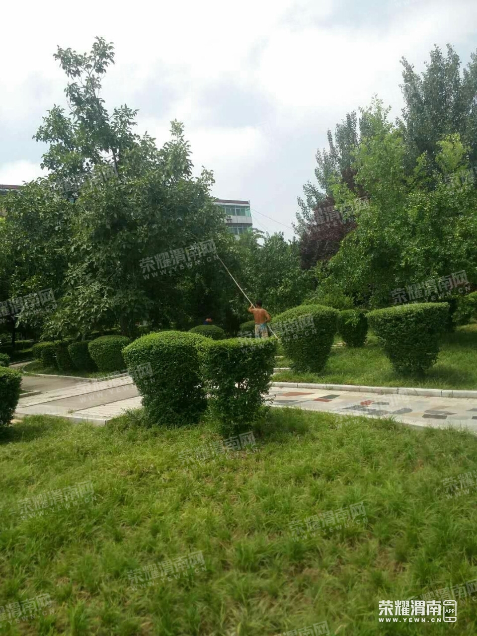 075527piwlnlald1ewd3le.jpg