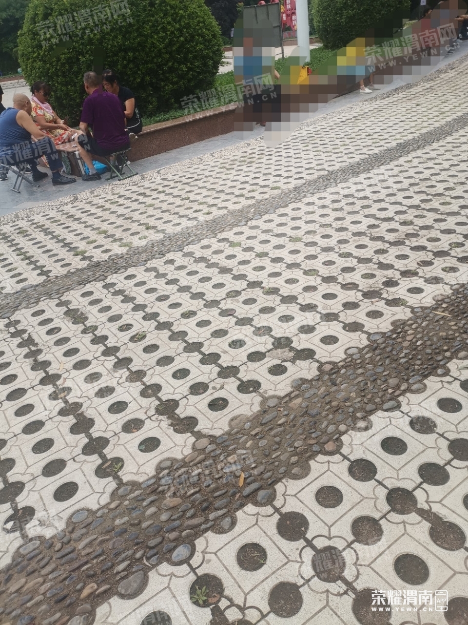 100547bfy70srra8qfzakv.jpg
