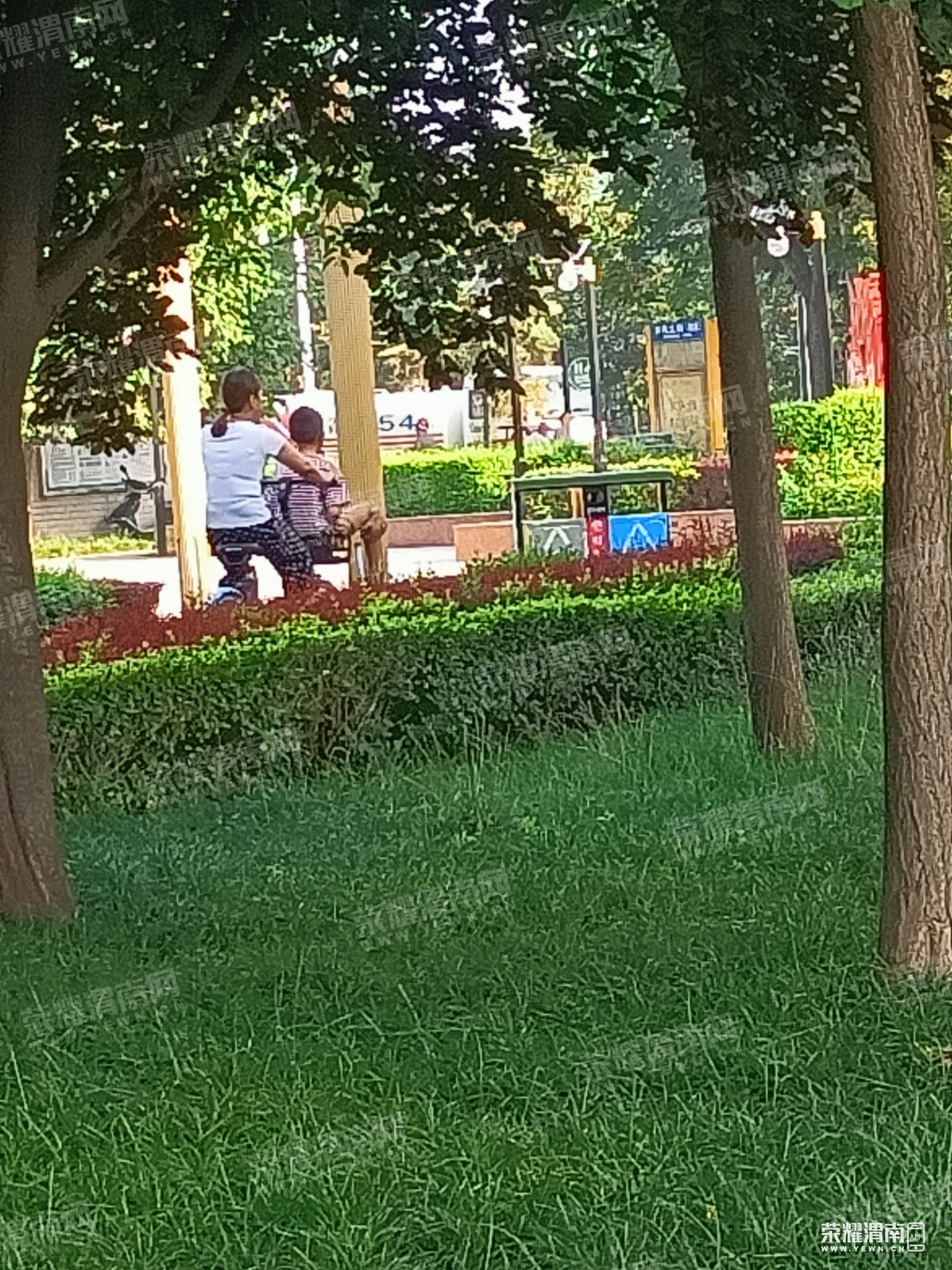 2.jpg