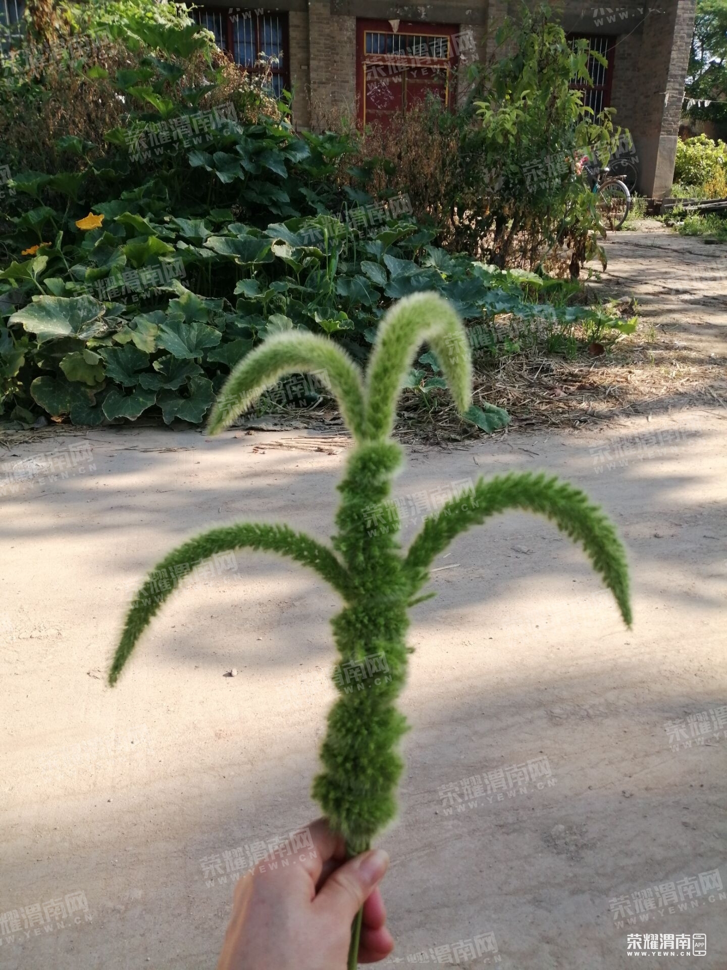 110438bl6d5dt0odllued0.jpg