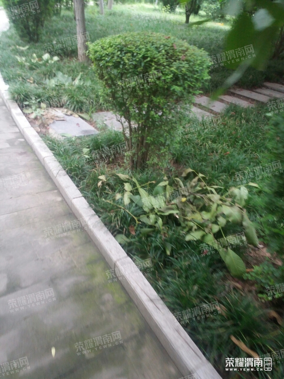 104939pc8sx01x9c1hhct1.jpg