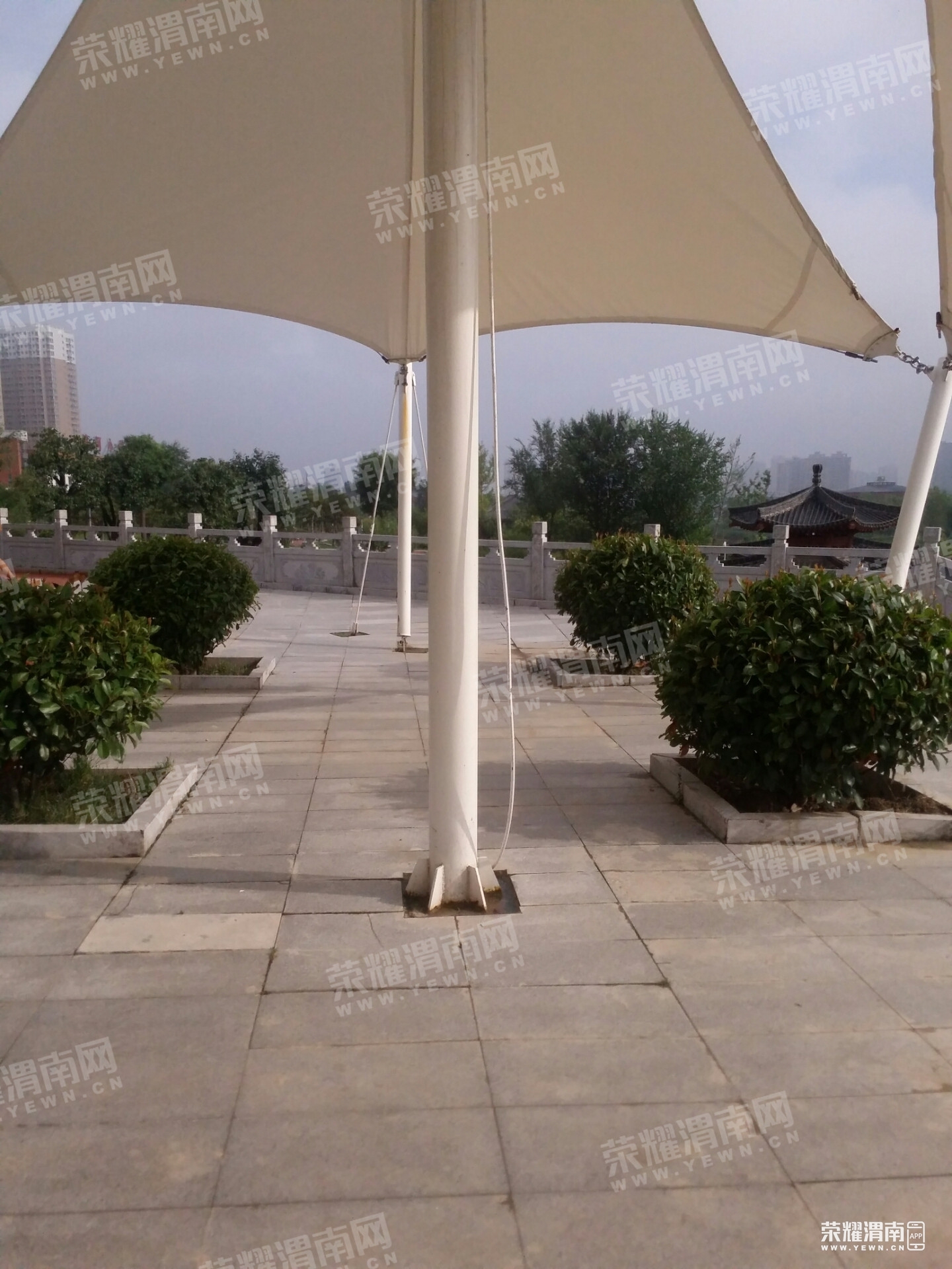 100528mm1tr9meqhyheyfc.jpg