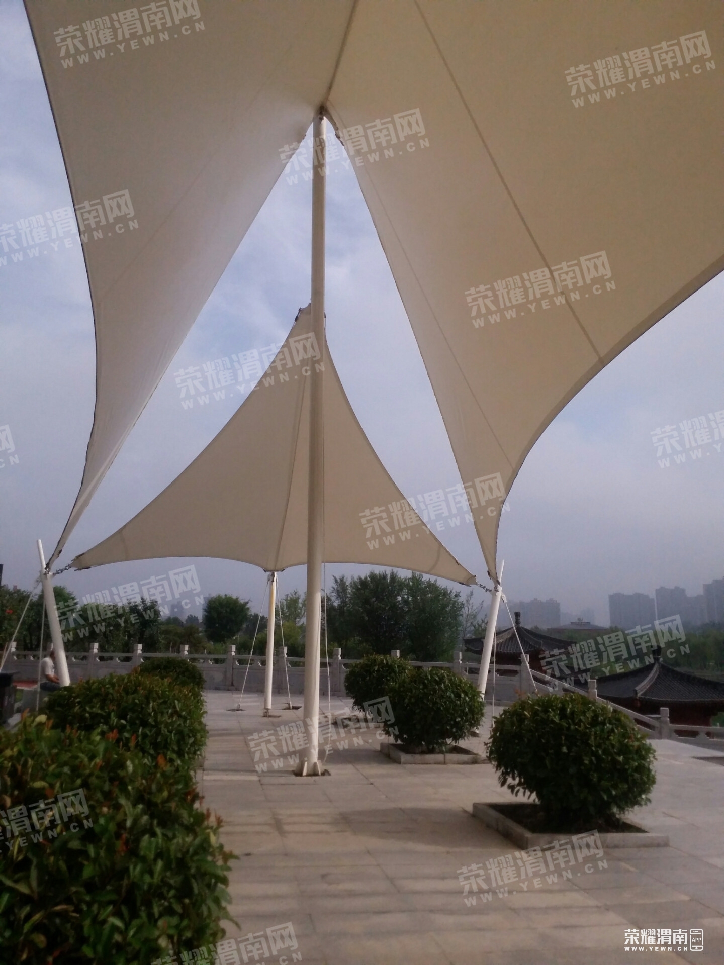 100528zryjjyaj3lyie7l5.jpg