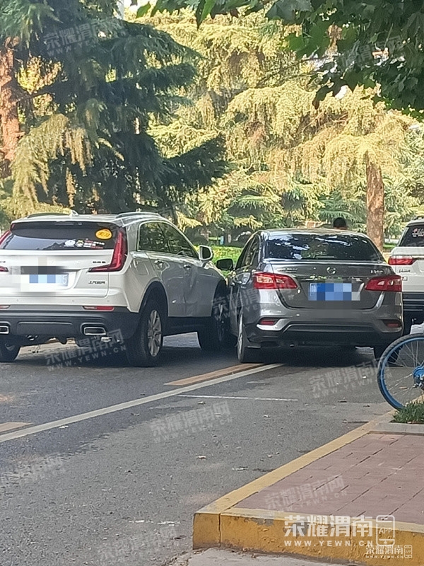 082047f13m1qrzft483qzr.jpg
