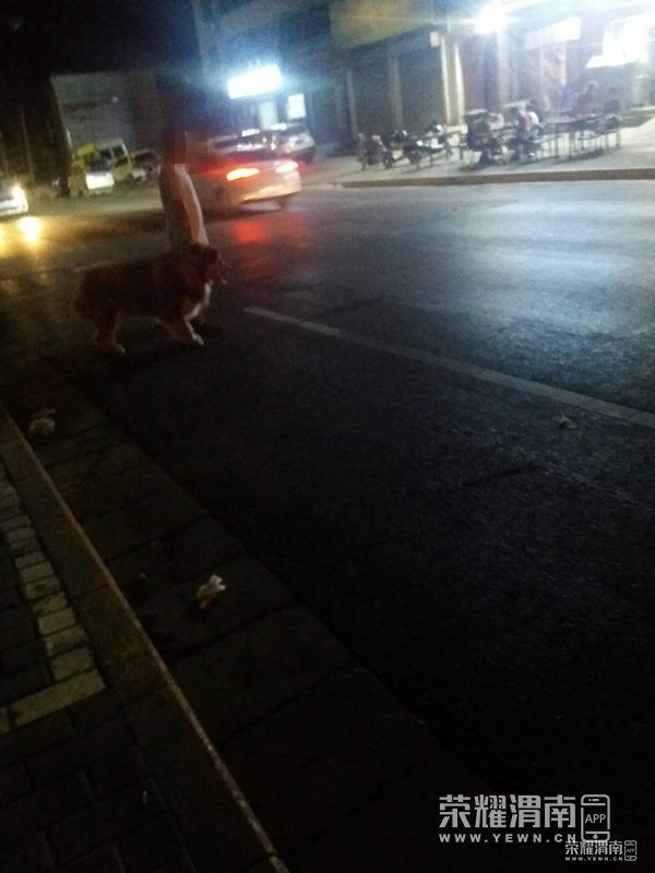 094928cpydpbspp0bj09ds.jpg