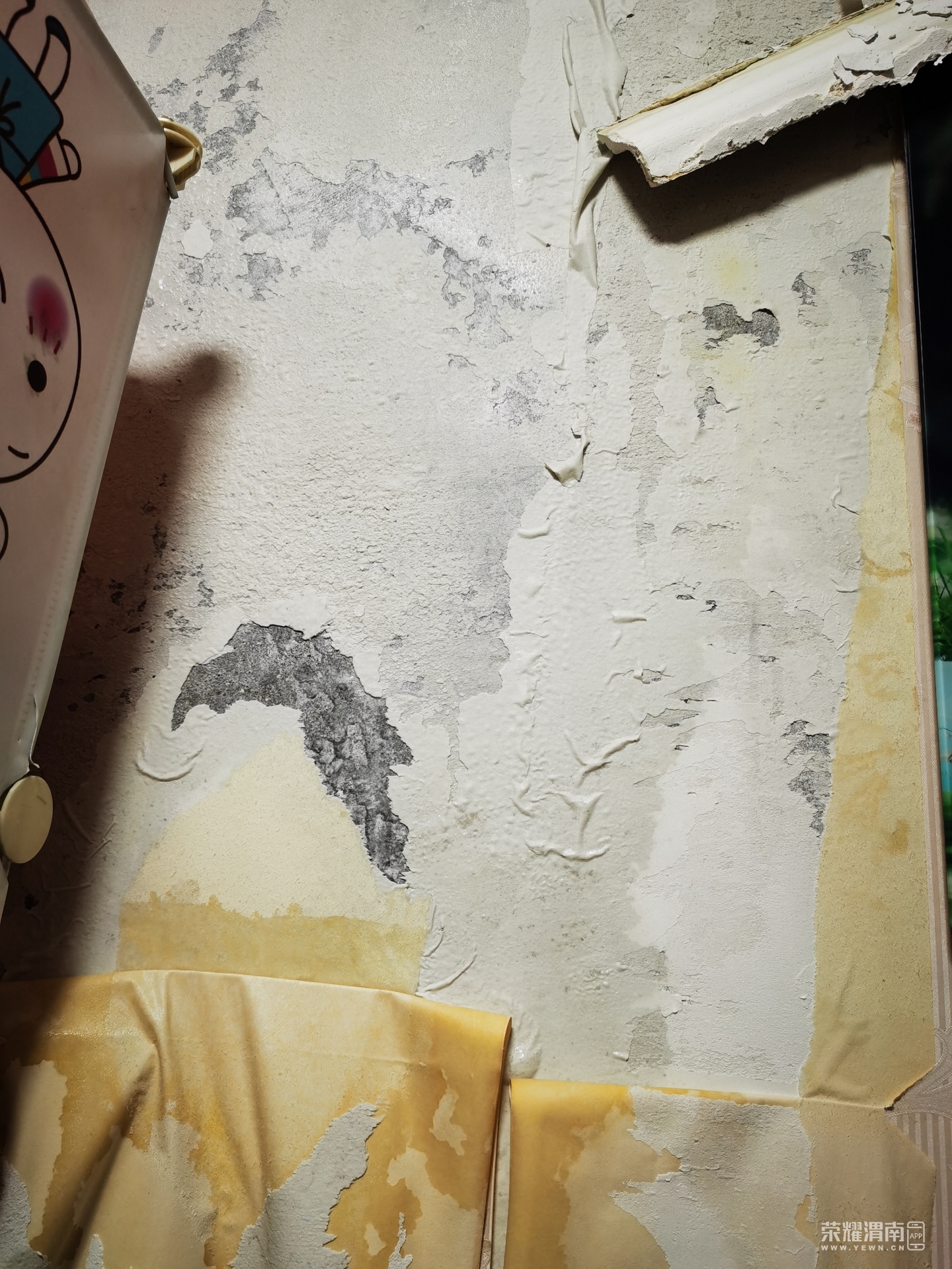 front2_0_FqN6Xe8_x3zTAggyckOBLWsxTKDR.1627963183.jpg
