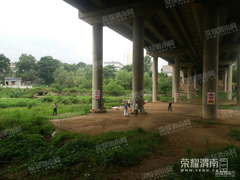 090003q5ofzwq71orh8x1i.jpg