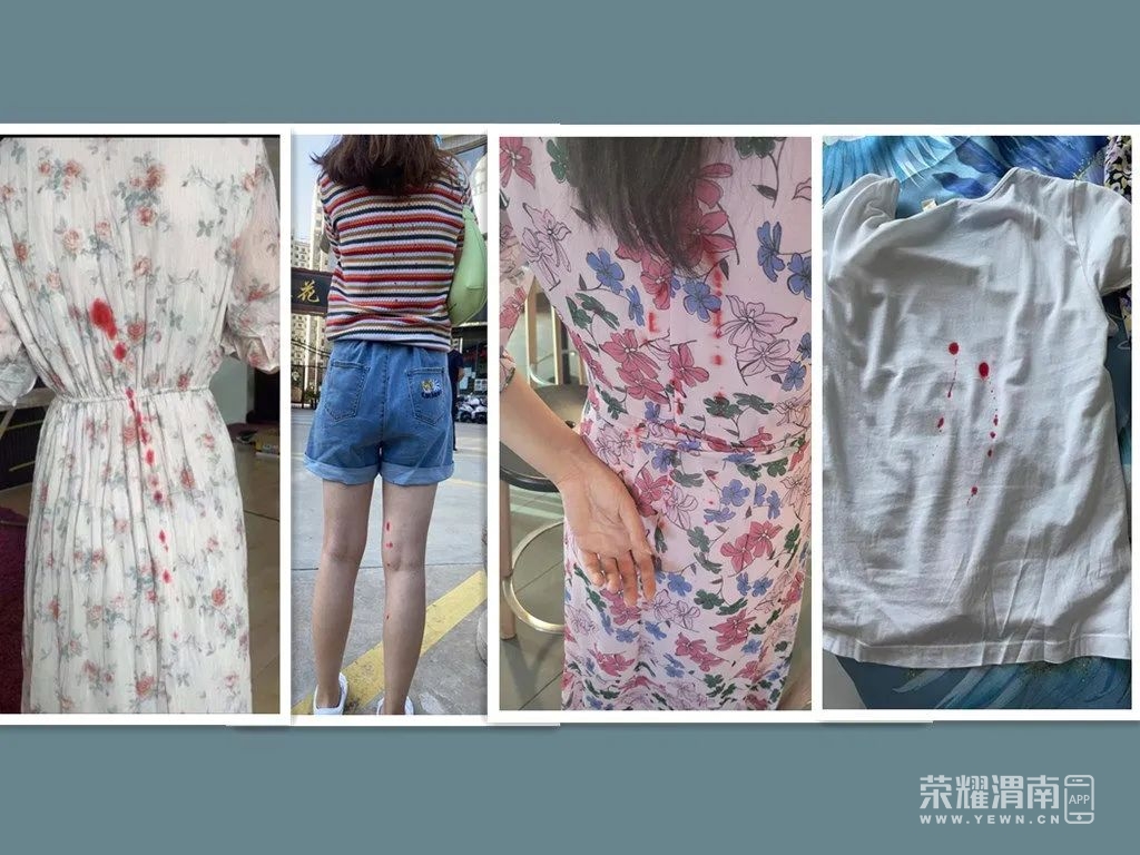 172255qg3mw77bjipwdp7p.jpg