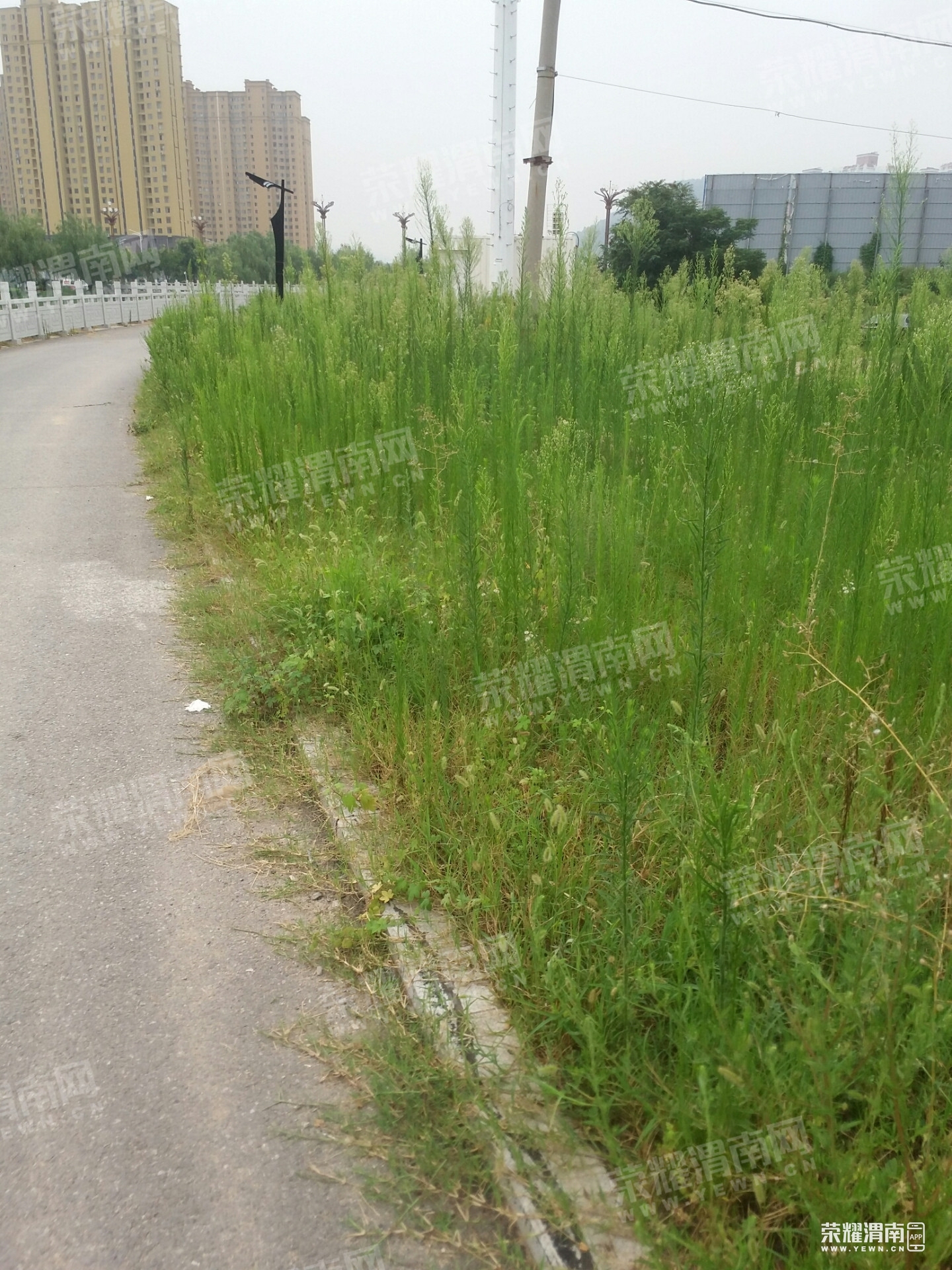 105436p4tauvpgh7gaqgcm.jpg
