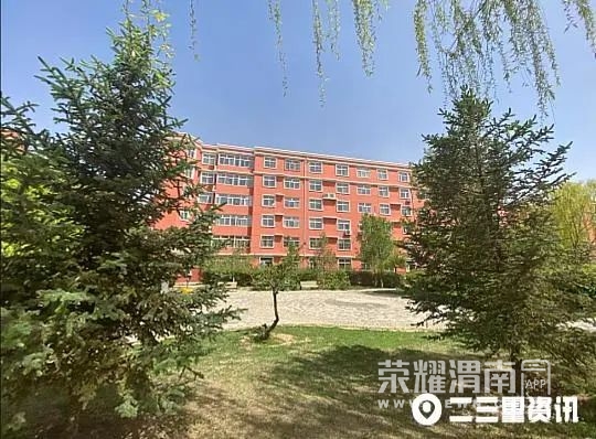 163337d9m1ln9npwt33vc3.jpg
