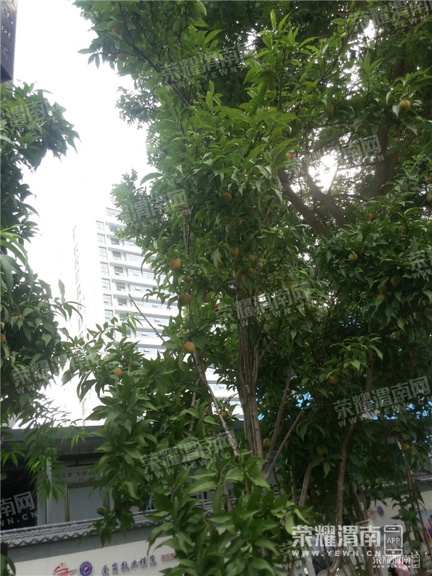 091046twkmfxxwnywnxzhn.jpg