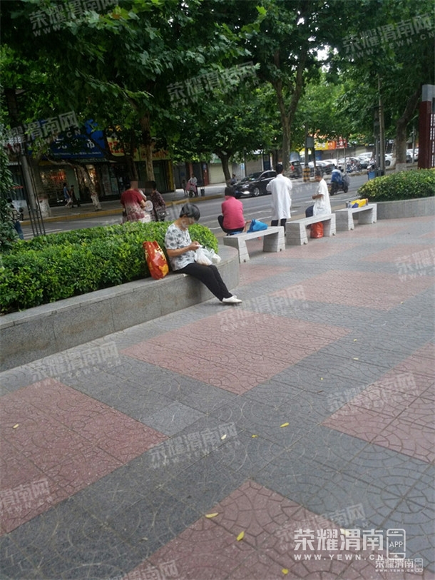091737df17kr9zp255r91q.jpg