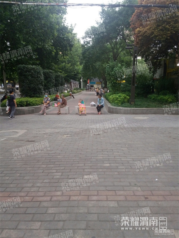 091739mstnpp6pidbbrntz.jpg