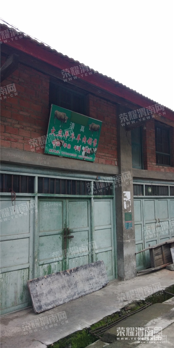 155327fbeb12xu7sx33734.jpg