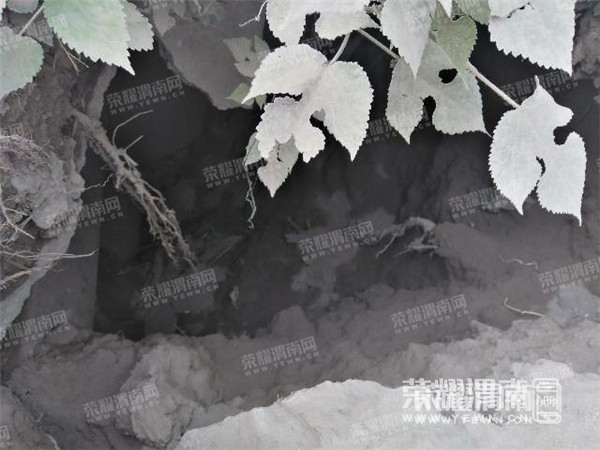 083719chhhfjy901btph9q.jpg