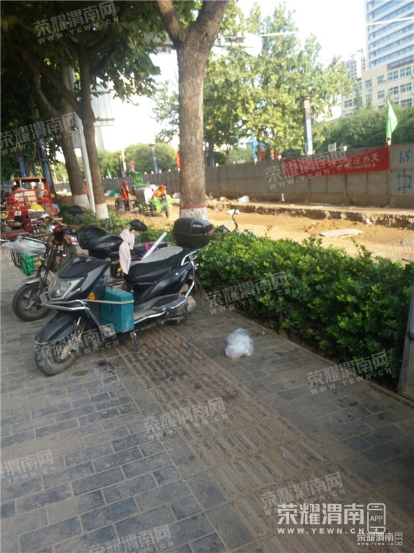 121537fky5z1mx33cm5ye5.jpg