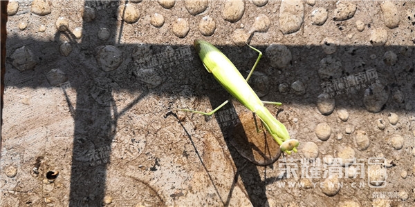 133612p10do91uzd81j019.jpg