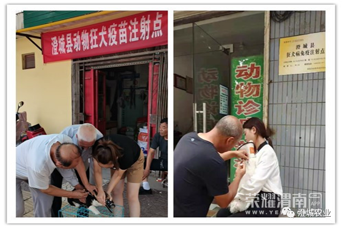 151053gogssh7w7wq2wmm2.jpg