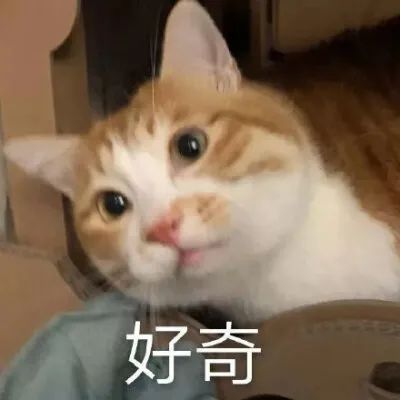 094808lok3o3zv7avdqhf0.jpg
