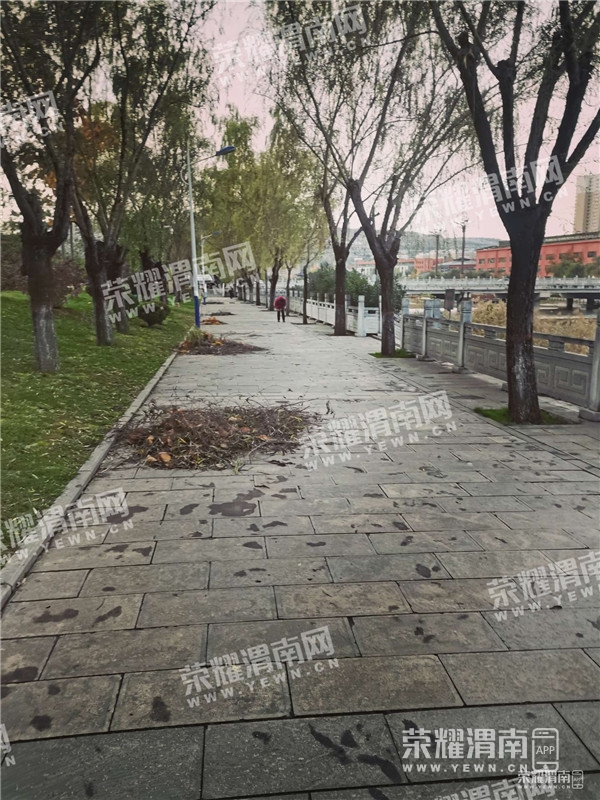 090938gdw2ii1u0iipei2v_����.jpg
