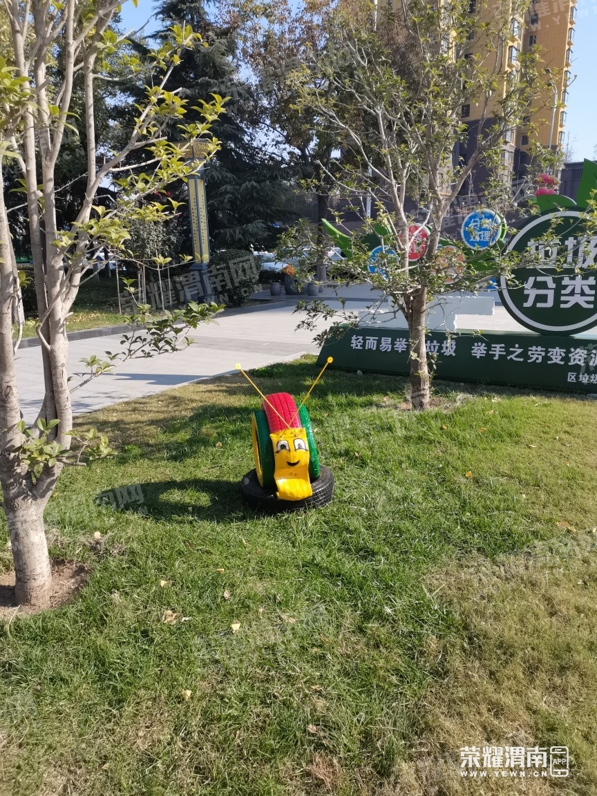 100942yyqnn98uelznd5ay.jpg