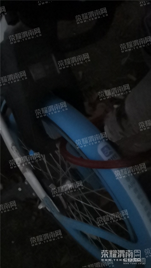 050828kqr1crq7krcq12qb_����.jpg