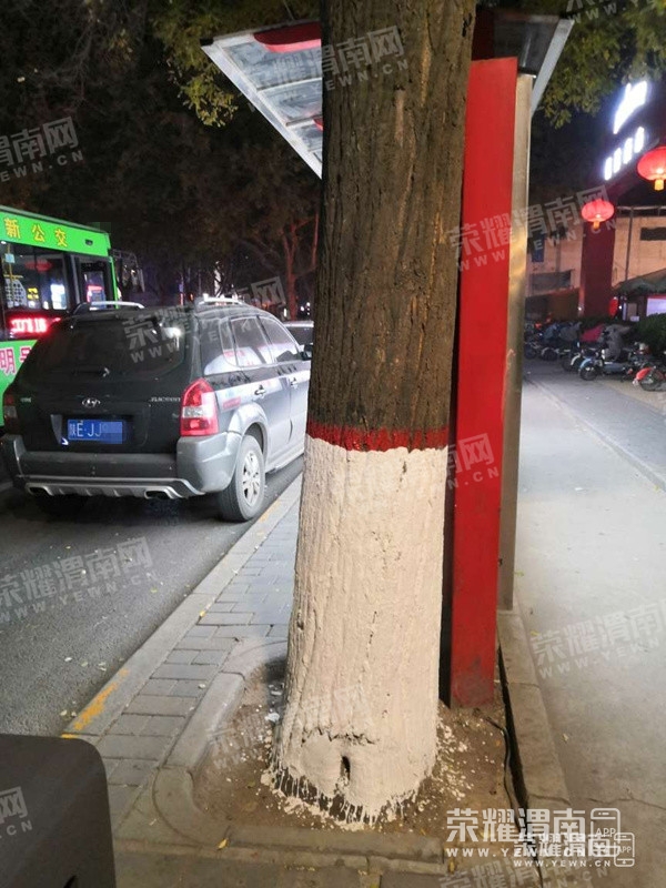 084439tu02nuxgdcuzcmuw_����.jpg