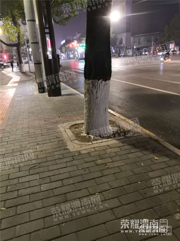 084439sddtaph63osapbjb_����.jpg
