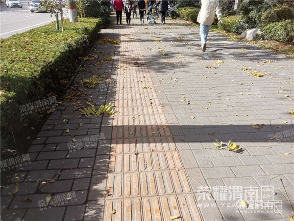 132353mbpfpq56u1m3zapd_����.jpg