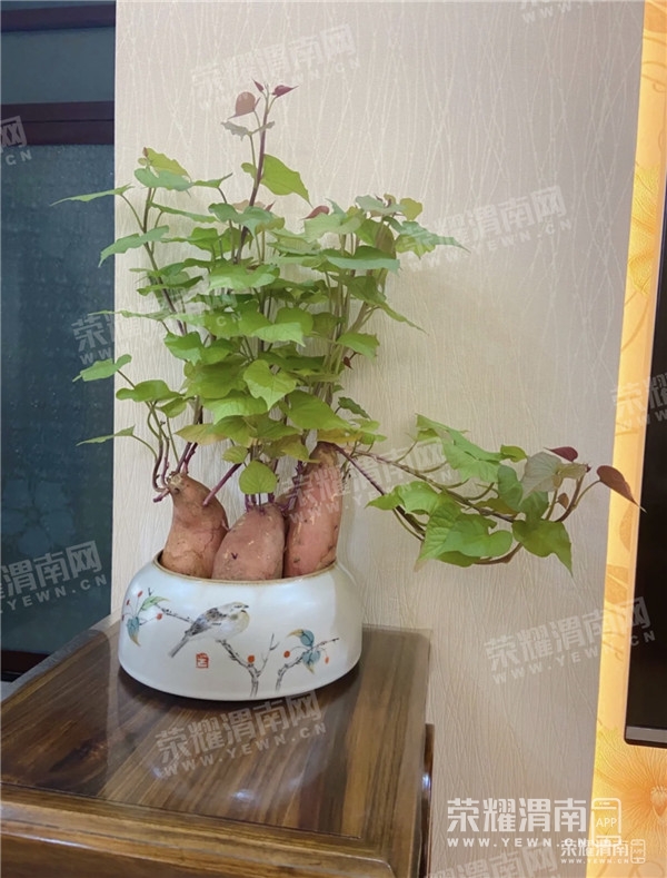 161841frrpbvnsp5qnbl77_����.jpg