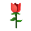 095402ms197js4vvz5wjgu.png