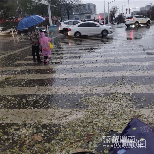 084009n8kzdztthe98yc98.jpg