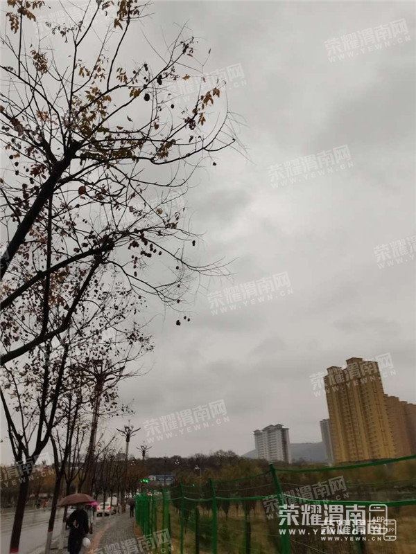 081457iasqzhii5zjta7qq.jpg