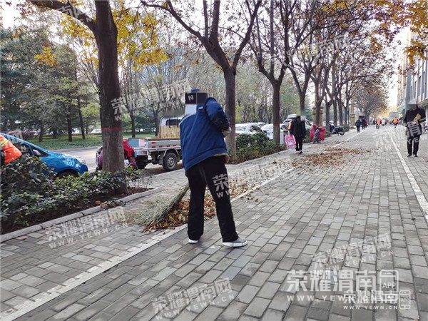 085624bvyzuu1yy3vv4vun.jpg