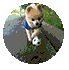 101315pyvqkvqmy7khntqt.gif