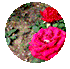101315a73crrhzzsrko0uo.gif