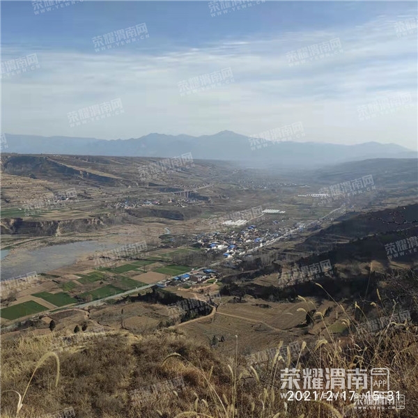 163707tpdgsgtd15t1tx56.jpg