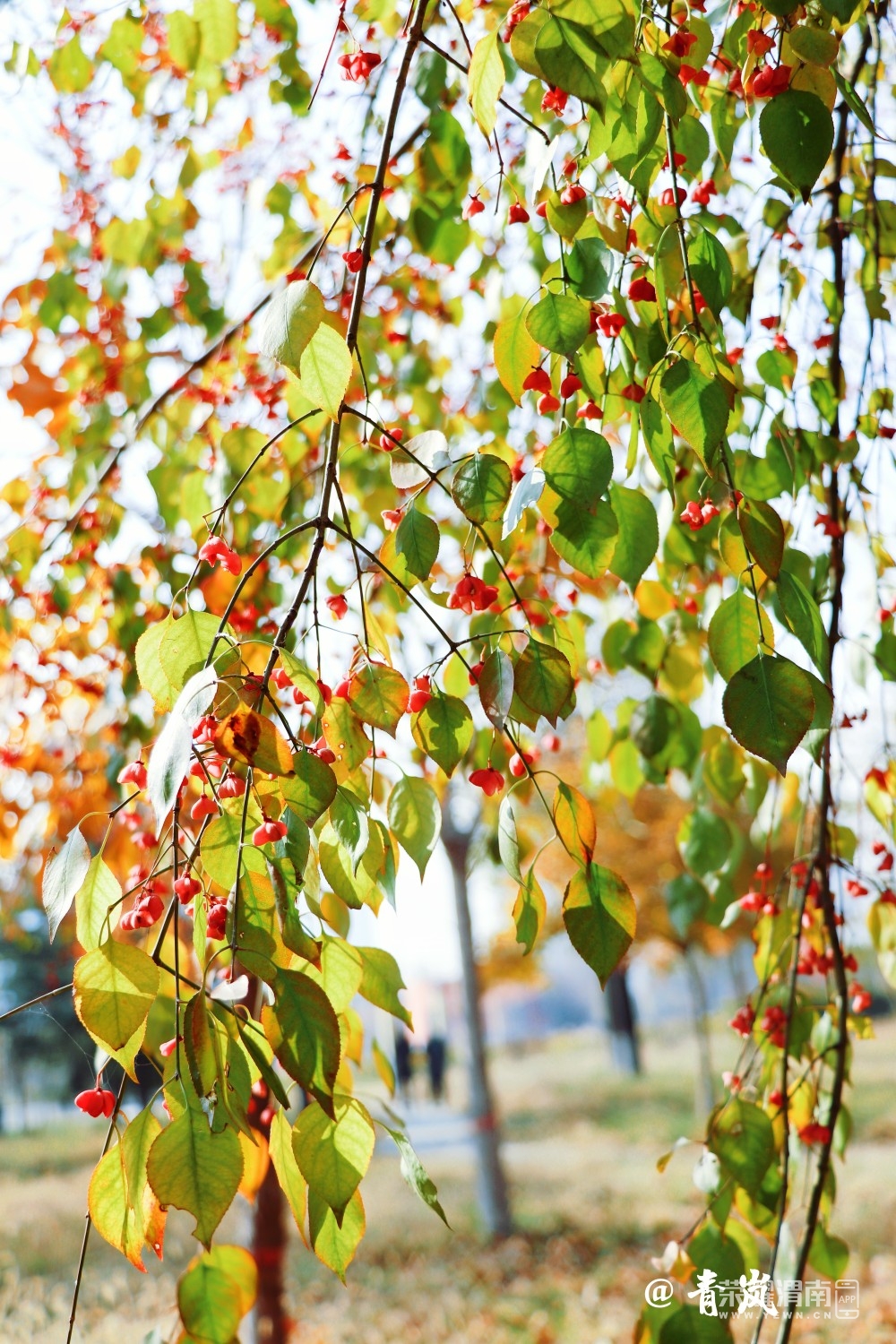 front2_0_270525_FhsotZ845HifuiiF8t-O_fI6FKmM.1638755961_09_59_22.jpg