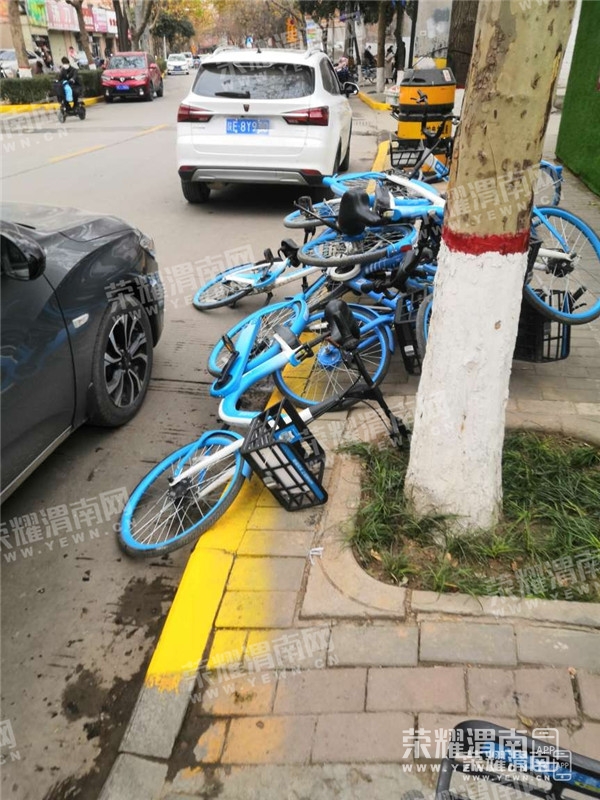 114403vy7opghc22zdzcy2 (1).jpg