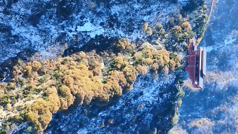 5.gif