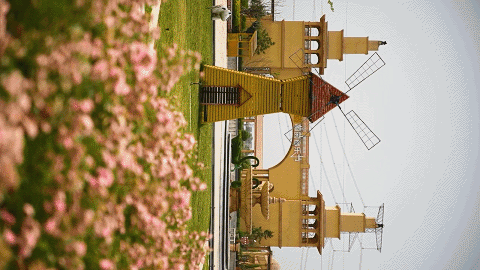 8.gif
