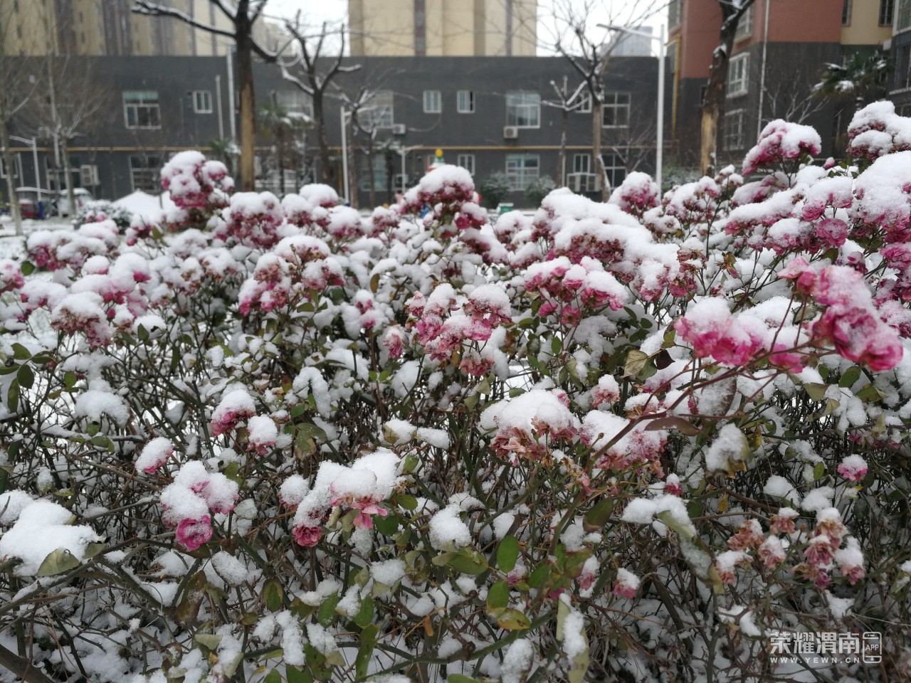 20220121222037front2_0_232640_FpkLCWut_VBUdabjRXMxNSbb9HU-.jpg