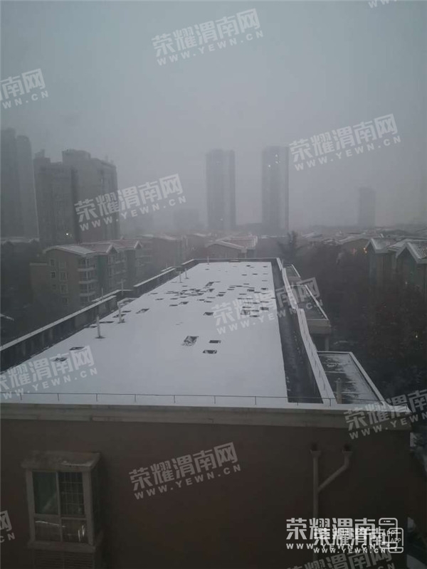 071958mw5yf2o12szaroya.jpg
